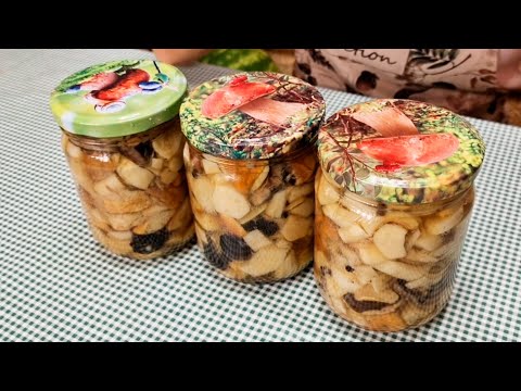 Видео: ЭТИ ГРИБЫ СЪЕДАЕМ ПЕРВЫМИ ВКУСНЫЙ РЕЦЕПТ МАРИНОВАНИЯ ГРИБОВ НА ЗИМУ БОРОВИК И РЫЖИКИ@obovsemsmarusya