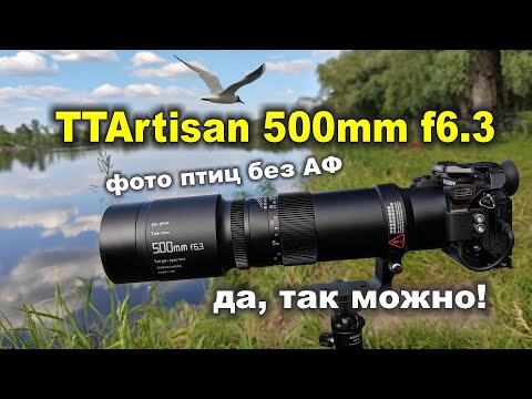 Видео: TTArtisan 500mm f6.3 ДЛЯ ФОТОСЪЁМКИ ПТИЦ