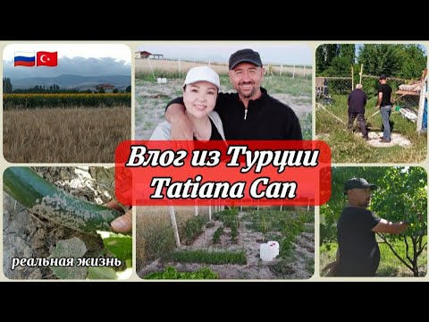 Видео: Влог из Турции/поехали в огород/турецкий огород родителей/травы мореее у нас 🥴/реальная жизнь