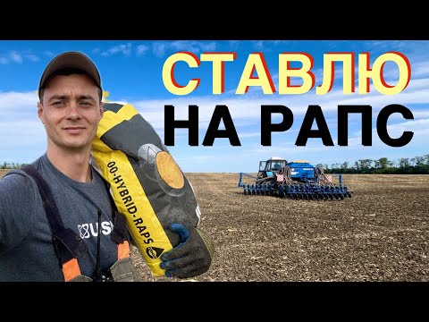 Видео: РИСК дело благородное. Сеем Рапс НЕСМОТРЯ НИ НА ЧТО!