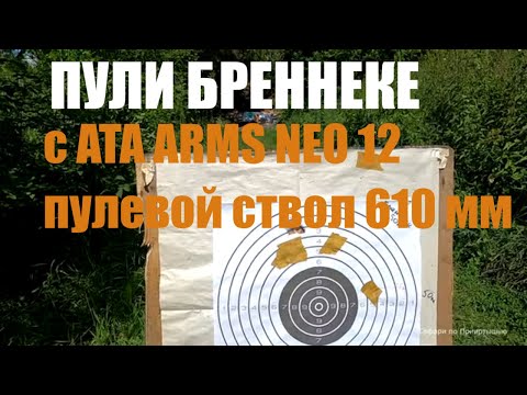 Видео: Пули БРЕННЕКЕ. Отстрел по мишени.