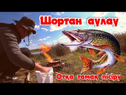 Видео: Рыбалка Астана Щука на новый спининг