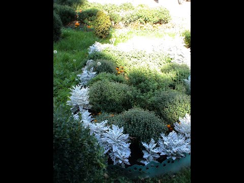 Видео: Чудо Богородицы в Сирии. Документальный факт.  Люди стали далеко от Господа, 7минут для них тяжесть.