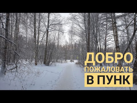 Видео: Питерский VLOG2: ПУНК  - заселение в общежитие СПбГУ