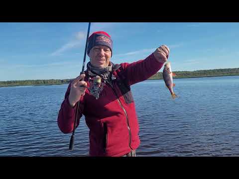 Видео: Рыбалка и отдых в прекрасный осенний день!