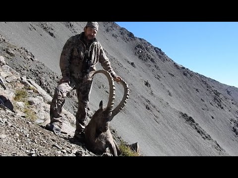 Видео: Трофейная охота на козерога. Джунгарский Алатау, Казахстан. Trophy ibex hunting in Kazakhstan, 2020.