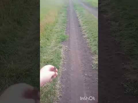 Видео: Небольшая инфа.↓↓