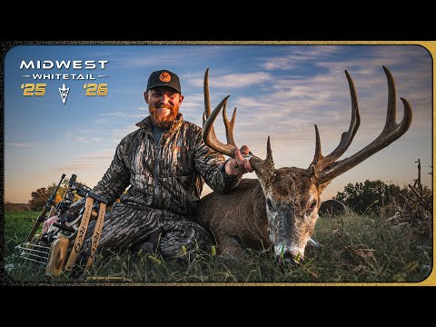 Видео: Двухлучевой лук Зака, охота на «Двуликого» | Белохвостый олень Среднего Запада