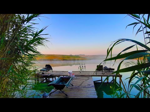 Видео: ЛОВЛЯ КАРПА И АМУРА В ГЛУХИХ КОРЯГАХ! Бешеный клёв. Полностью закоряженный водоём