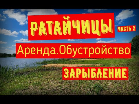 Видео: Ратайчицы .Аренда.Обустройство. Зарыбление пруда часть 2