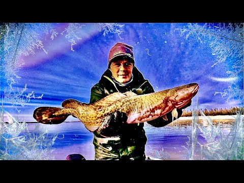Видео: СЕЗОН ВСЁ???!!!  ЛОДКА ВО ЛЬДУ, ЕХАЛ КАК НА ЛЕДОКОЛЕ! БОЛЬШОЙ НАЛИМ НА КРУПНУЮ ПРИМАНКУ!