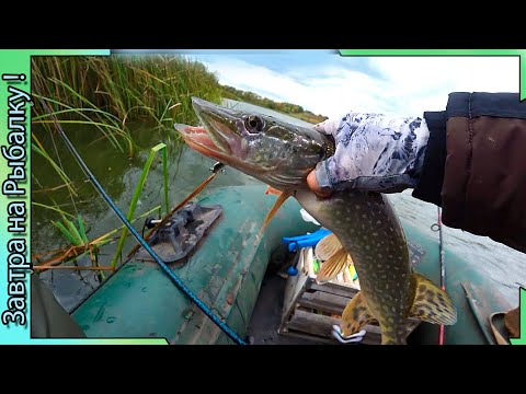 Видео: Ищем щуку - Катаемся по прудам Панинского района Воронежа