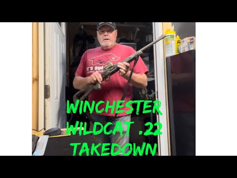 Видео: Как разобрать и почистить Winchester Wildcat .22