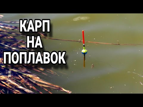 Видео: ВСЕГДА БЫ ТАК КЛЕВАЛО!!! Руки устали таскать рыбу. Рыбалка 2024