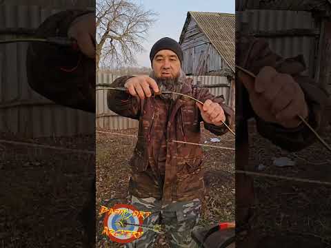 Видео: 𝐎𝐯𝐞𝐫𝐯𝐢𝐞𝐰 𝐨𝐟 𝐊𝐲𝐩𝐜𝐡𝐚𝐤 𝐛𝐨𝐰𝐬  О̶б̶з̶о̶р̶ л̶у̶к̶о̶в̶ К̶и̶п̶ч̶а̶к̶. Ҡыпсаҡ яндарына күргәҙмә. #bows #make