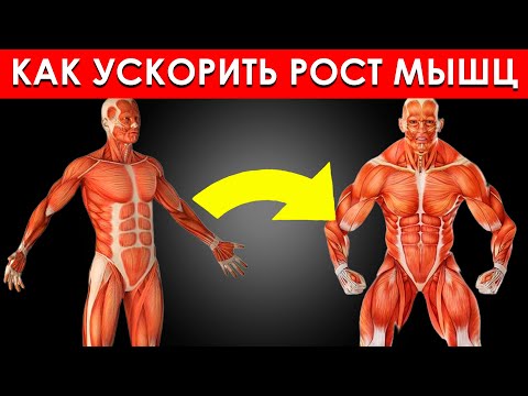 Видео: Как Натурально Ускорить Рост Мышечной Массы