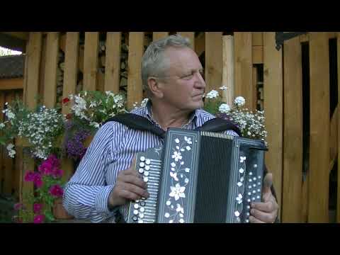 Видео: Глупые снежинки(Ласковый май) на гармони.