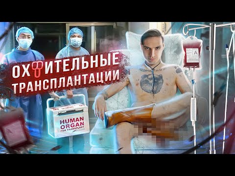 Видео: БЕЗУМНЫЕ Трансплантации - от животных, лица, половые органы...