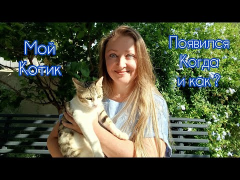 Видео: Мой новый Котик🐱 Подробный рассказ с Фотографиями 