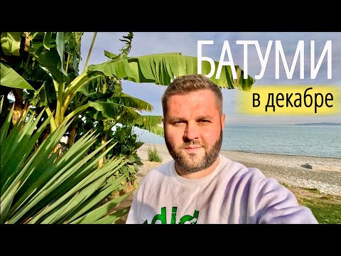 Видео: БАТУМИ 11 ДЕКАБРЯ❗️+19☀️