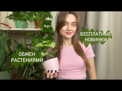 Видео: ОБМЕН РАСТЕНИЯМИ | Новинки в моей коллекции комнатных растений