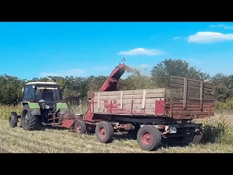 Видео: МТЗ 82.1 с КИР 1.5 и ЮМЗ -6Т с 2ПТС 4 ,силосование 2017