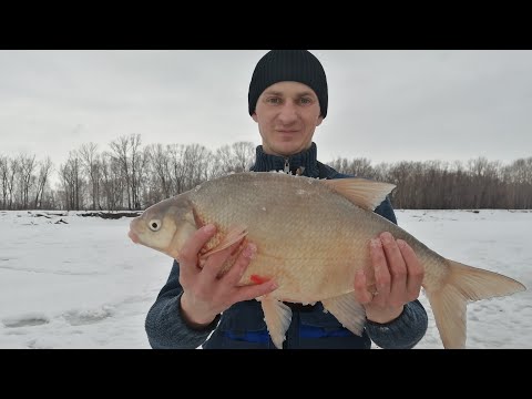 Видео: Вот это я понимаю ЛЕЩ!!! ТРОФЕЙ ЗИМОЙ НА КОМБАЙН. 4 дня рыбалки в Сузуне.