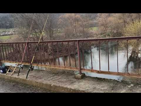 Видео: Кефали Бродилово