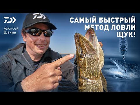 Видео: САМЫЙ БЫСТРЫЙ МЕТОД ЛОВЛИ ЩУК! x АЛЕКСЕЙ ШАНИН