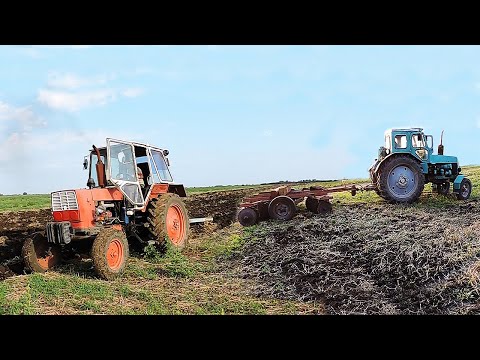 Видео: ЮМЗ в строю на Пахоте! Т-40 с Дисковой Бороной