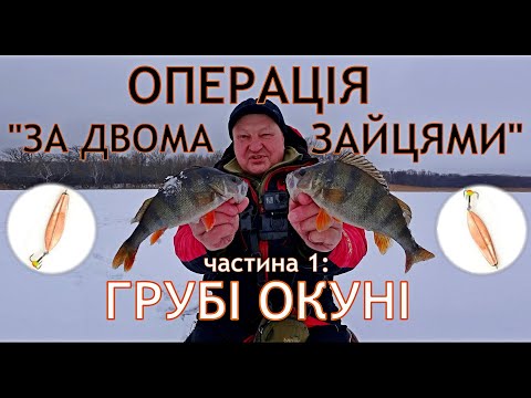 Видео: Ловлю з криги. Грубі окуні чи плотва з ікоркою? Хочу ловити всіх! Перша серія: з блешнями на окунів.