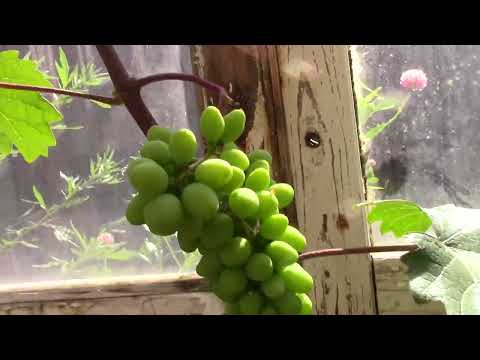 Видео: Экватор сезона 2023