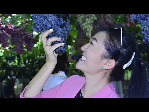 Видео: шаҳри Турсунзода-Tursunzoda city