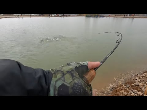 Видео: Ловля ФОРЕЛИ на ПЛАТНИКЕ! Триал-Русская рыбалка! Ловля на СПИННИНГ воблер, железо и резину!