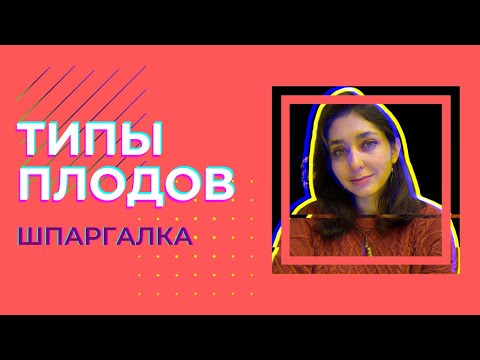 Видео: Плоды — Шпаргалка. ЦТ, ЕГЭ, ЗНО.