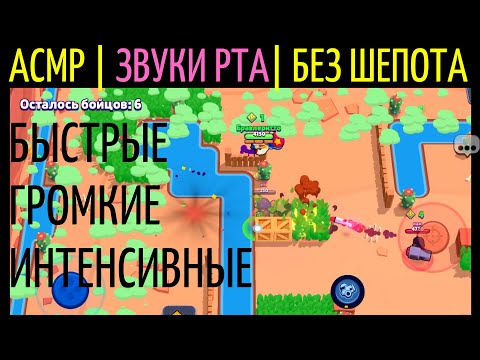 Видео: АСМР | Звуки Рта | Без Шёпота | Бравл Старс