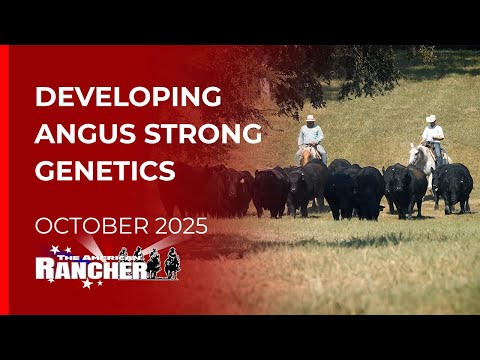 Видео: За кулисами 44 Farms | Американский ранчер | 10-06-25
