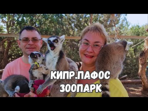 Видео: Кипр.Пафос.Парк птиц и животных.Контактный зоопарк с лемурами.Лемуры чуть не забрали мою камеру.Цены
