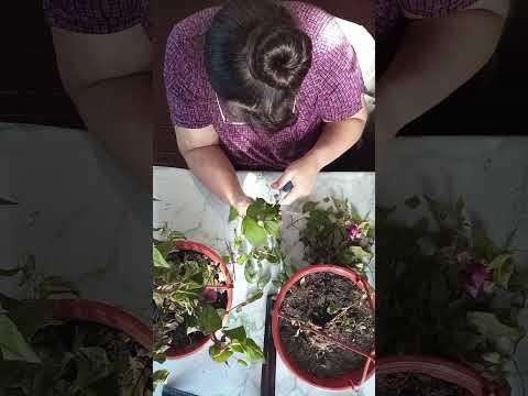 Видео: 22 октября 2025 г.