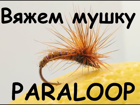 Видео: Paraloop - мушка на хариуса с необычным приемом вязания.