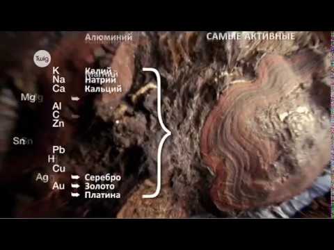 Видео: Окислиительно-восстановительные реакции