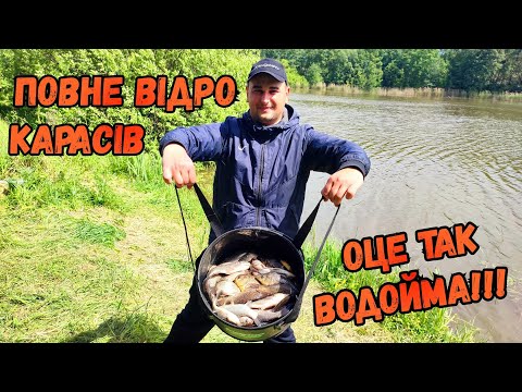 Видео: РИБИ ТУТ ДІЙСНО БАГАТО / ЗНАЙШЛИ КЛАСНУ ВОДОЙМУ БІЛЯ СЕЛА ГУНЬКА