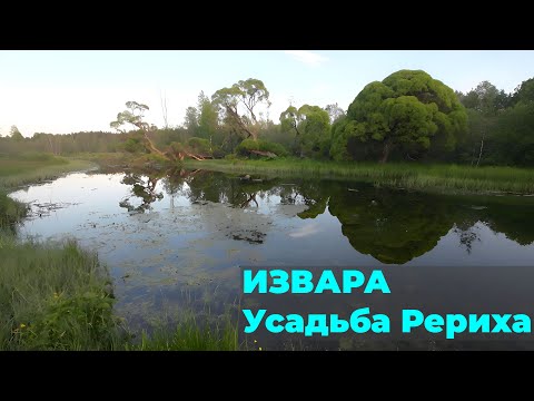 Видео: Музей-Усадьба Рериха: Тайны эко-тропы и дух великого художника | Путешествие по памятнику природы