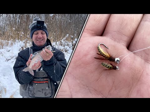 Видео: Мушка Оска - Пчела после Успешных Испытаний. Мормышка на Хариуса и Ленка