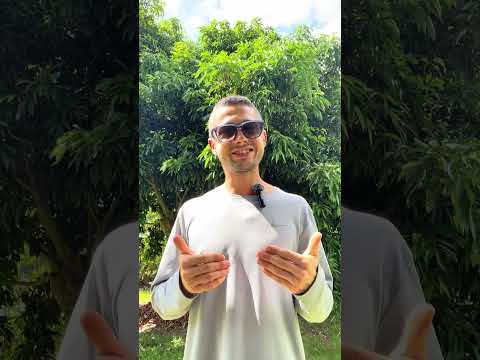 Видео: Теория 7