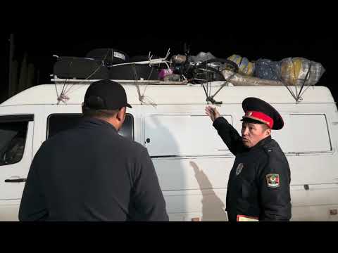 Видео: Талас облусунда «Рулда» рейди өткөрүлүүдө