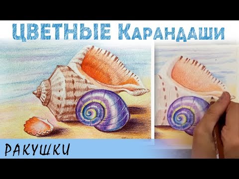 Видео: "Ракушки на песке" как нарисовать 🎨 КАРАНДАШИ цветные акварельные