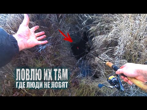 Видео: ОФИГЕТЬ! ЛОВЛЮ ИХ В ЭТОЙ ЯМЕ ! Рыбалка на КРУПНОГО РОТАНА ПО МОРОЗУ ! ЗАГОТОВКА ЖИВЦА на ПЕРВЫЙ ЛЕД!