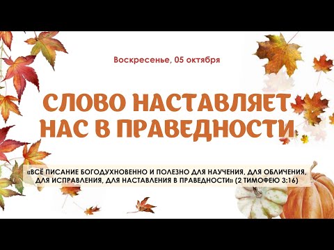 Видео: Слово наставляет нас в праведности