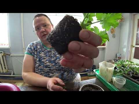 Видео: Влог от 22.03.2025